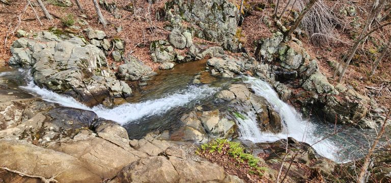Rose River Falls Loop: My First Real Hike