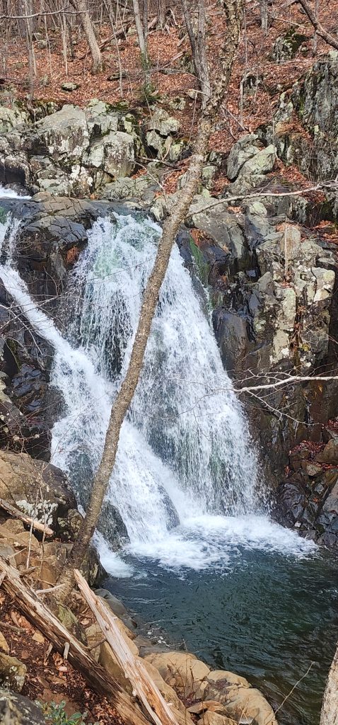 Rose River Falls Loop hike, Shenandoah National Park, Virginia 2026