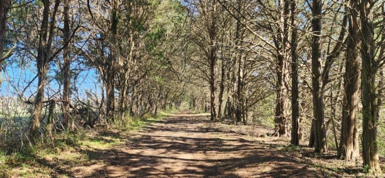 Lone Star Lakes State Park, Fingerlake Trail, Suffolk, VA