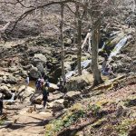 Dark Hollow Falls, Shenandoah National Park, Virginia