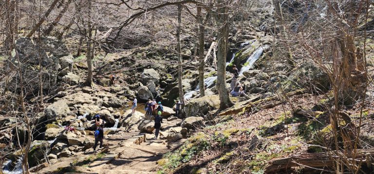 Dark Hollow Falls, Shenandoah National Park, Virginia