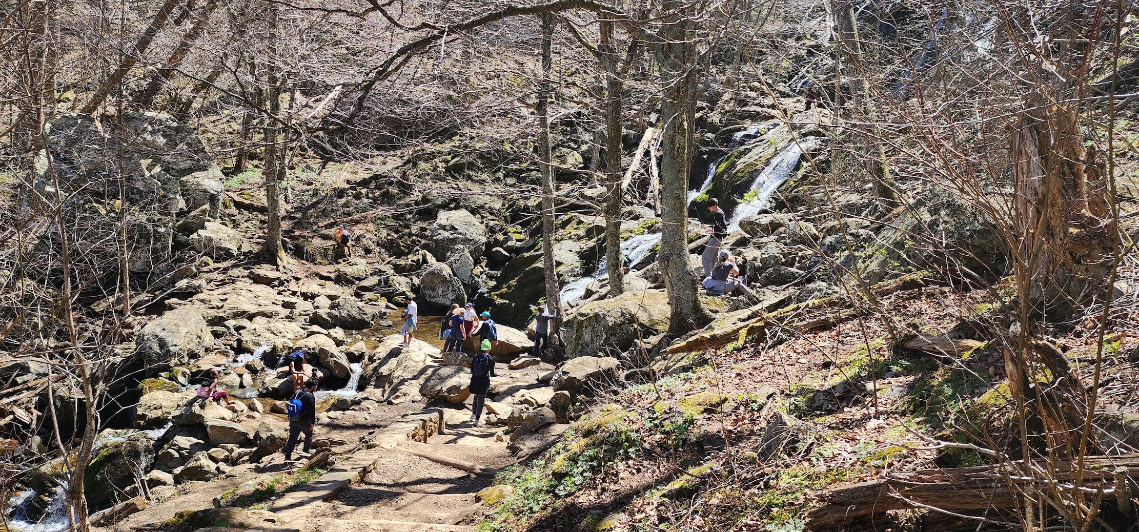 Dark Hollow Falls, Shenandoah National Park, Virginia