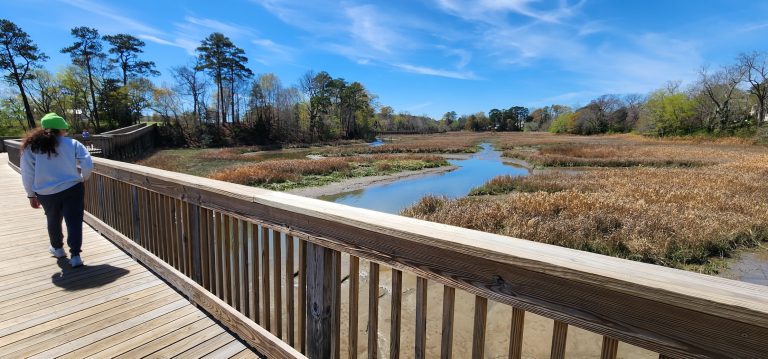 Windsor Castle Park Trail in Smithfield, VA