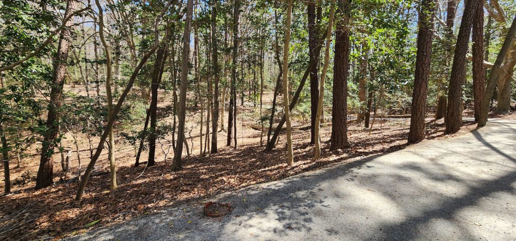Windsor Castle Park Trail in Smithfield, VA